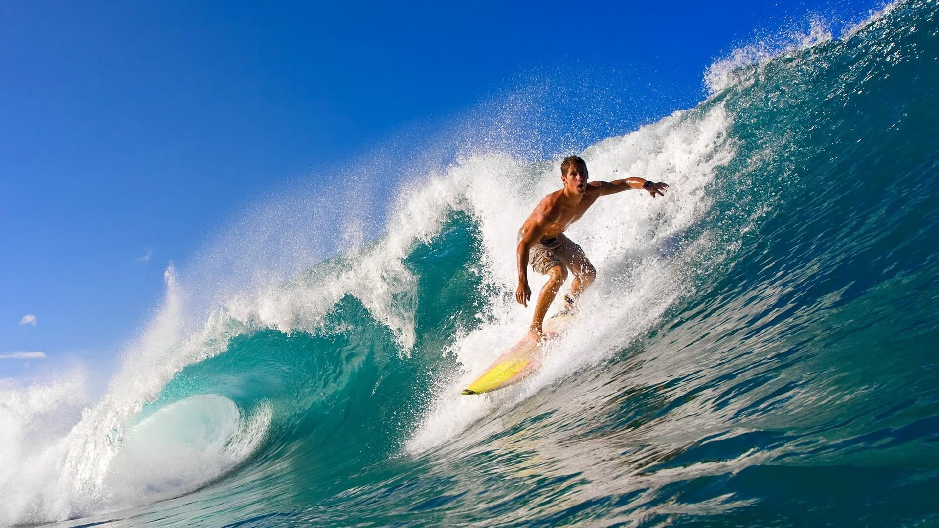 锦标赛决赛尘埃落定，终极对决展现精彩，锦标赛打法