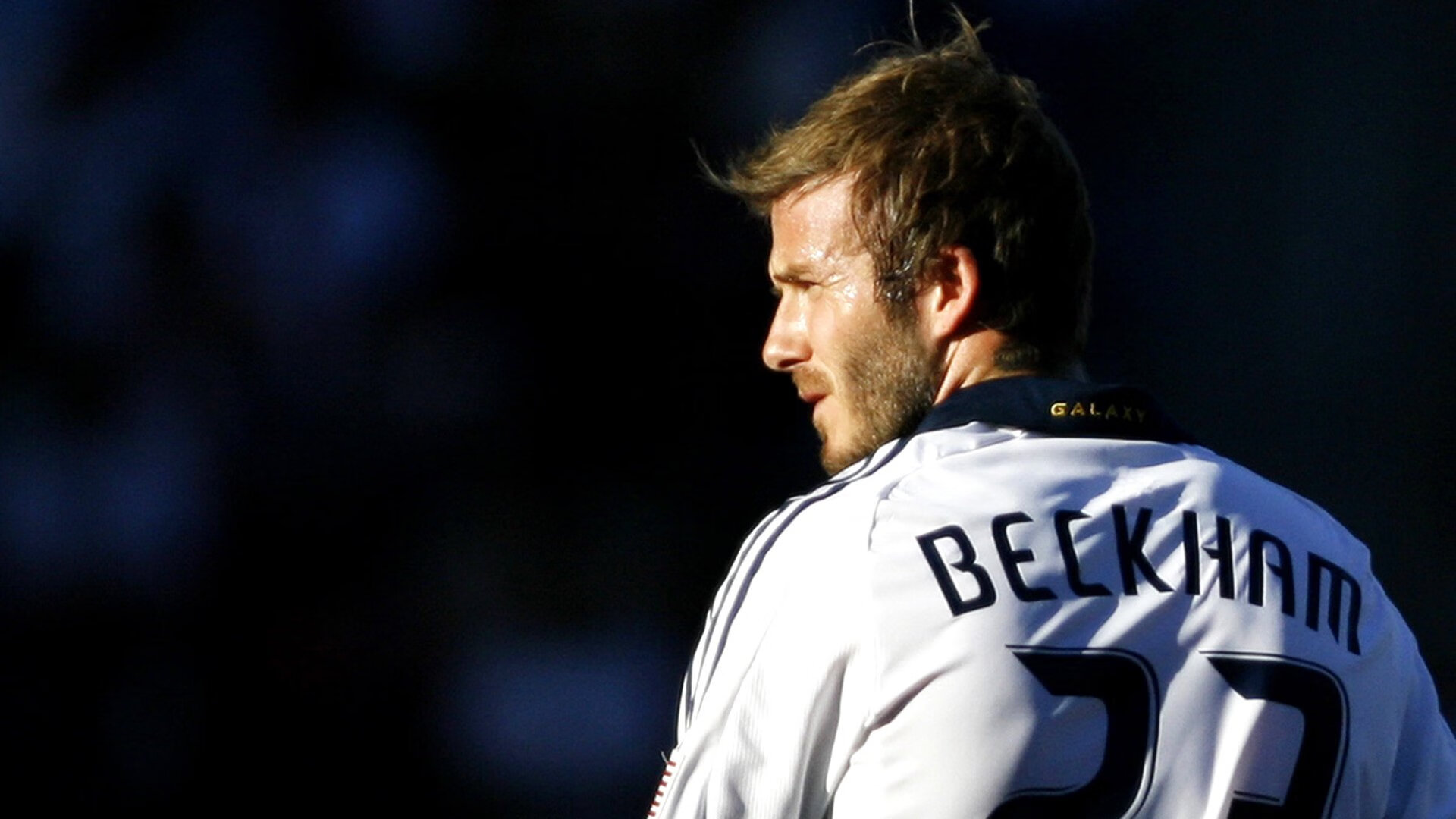 中国足球的球迷文化活动组织方案，中国足球的球迷们现在真的感到迷惘,面对